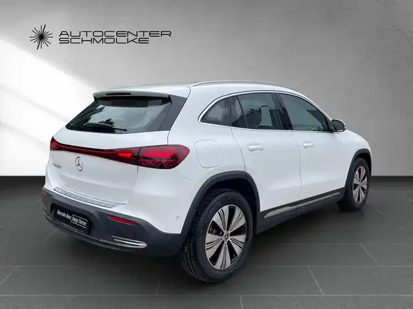 MERCEDES-BENZ EQA 250+ (6/15)