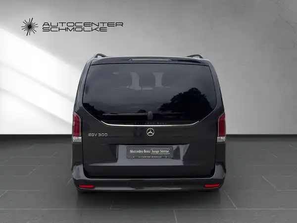 MERCEDES-BENZ EQV 300 (5/15)
