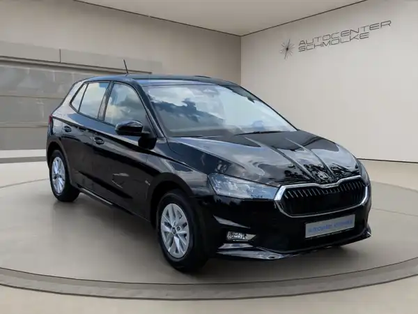 ŠKODA FABIA (8/15)