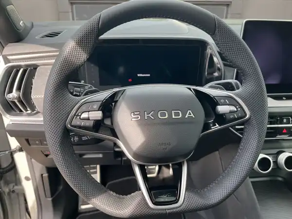 ŠKODA KODIAQ (10/15)