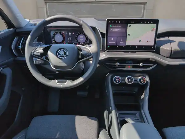 ŠKODA KODIAQ (14/15)