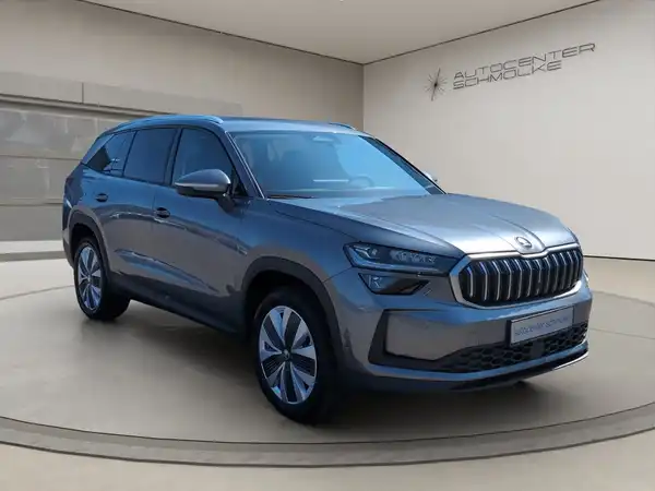 ŠKODA KODIAQ (7/15)