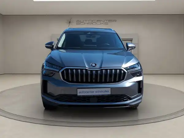 ŠKODA KODIAQ (8/15)