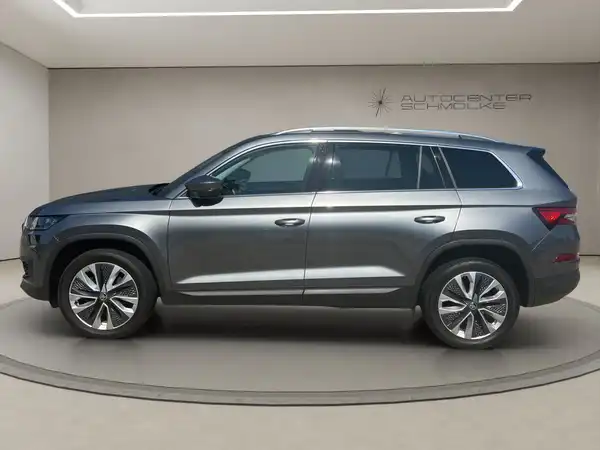 ŠKODA KODIAQ (3/15)