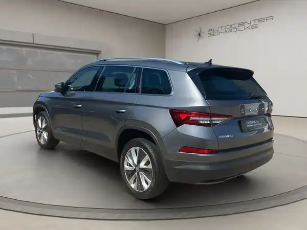 ŠKODA KODIAQ (4/15)