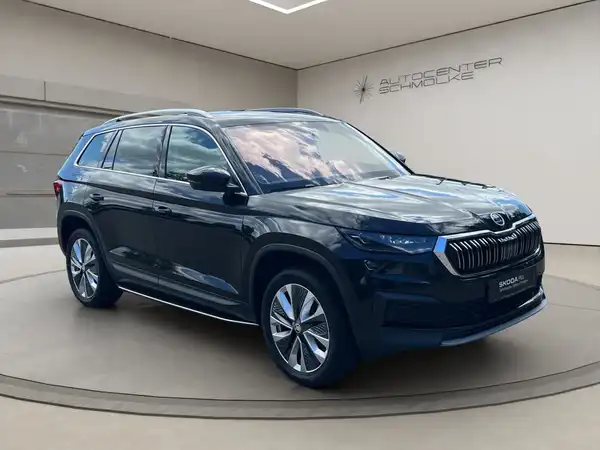 ŠKODA KODIAQ (8/15)
