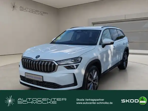 ŠKODA KODIAQ (1/15)