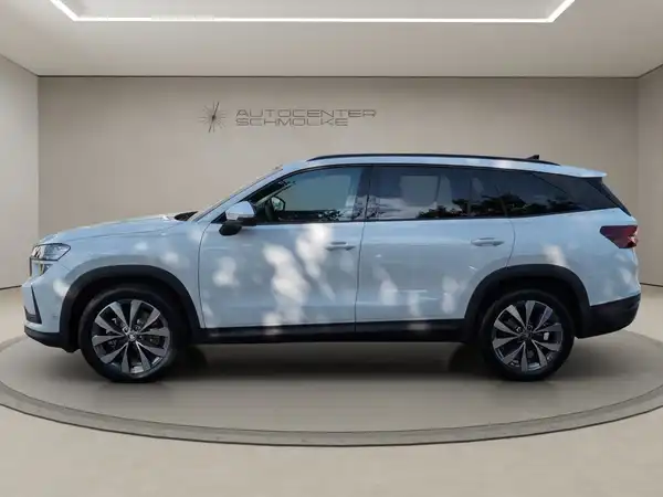 ŠKODA KODIAQ (3/15)