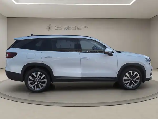 ŠKODA KODIAQ (7/15)