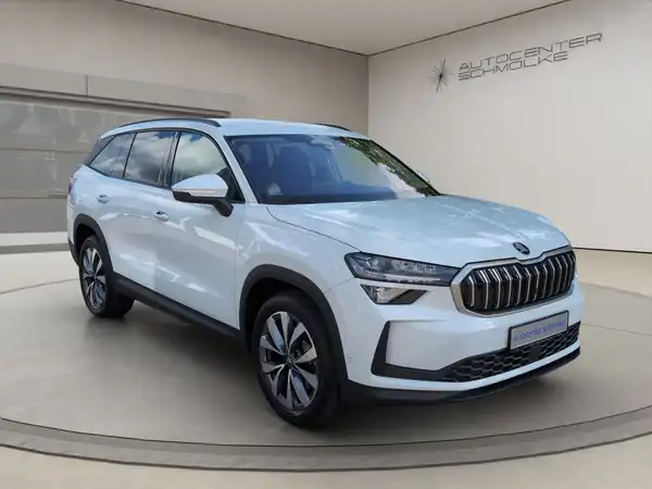 ŠKODA KODIAQ (8/15)