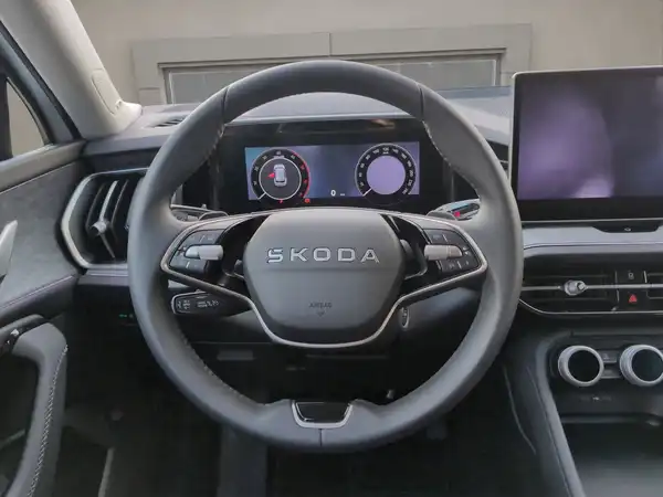 ŠKODA KODIAQ (10/15)
