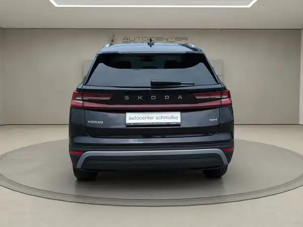 ŠKODA KODIAQ (4/15)
