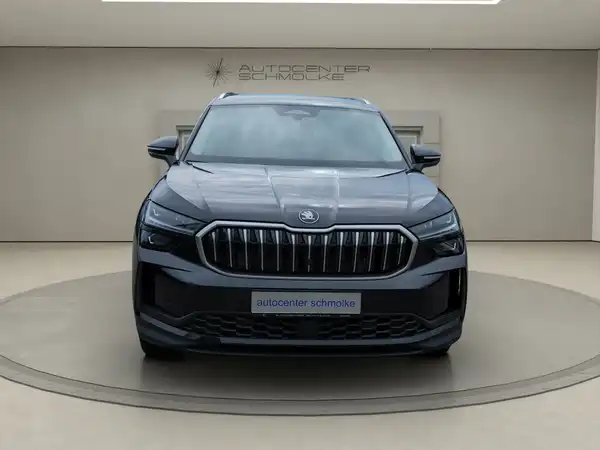 ŠKODA KODIAQ (8/15)