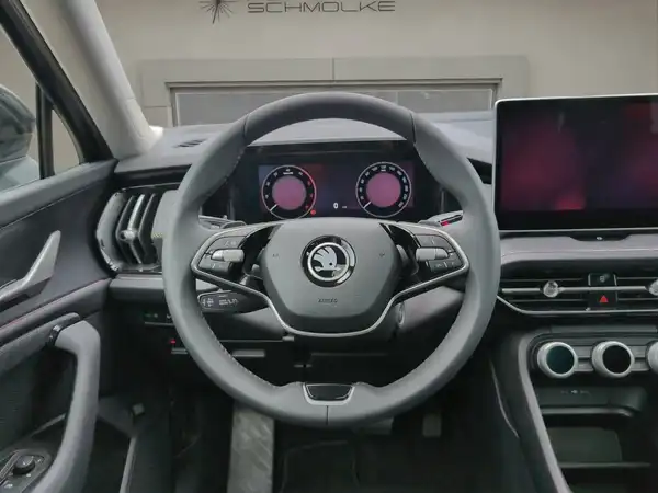 ŠKODA KODIAQ (10/15)