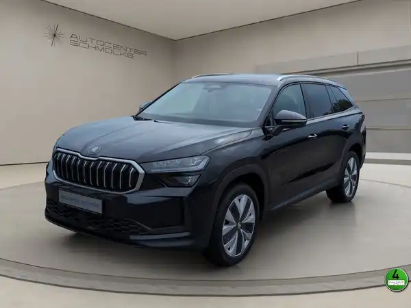 ŠKODA KODIAQ (1/15)