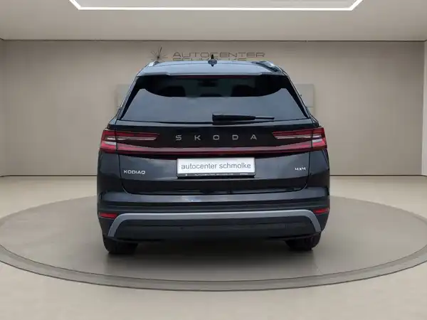 ŠKODA KODIAQ (4/15)