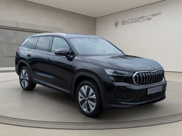 ŠKODA KODIAQ (7/15)