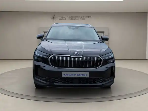ŠKODA KODIAQ (8/15)