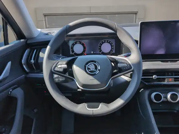 ŠKODA KODIAQ (10/15)