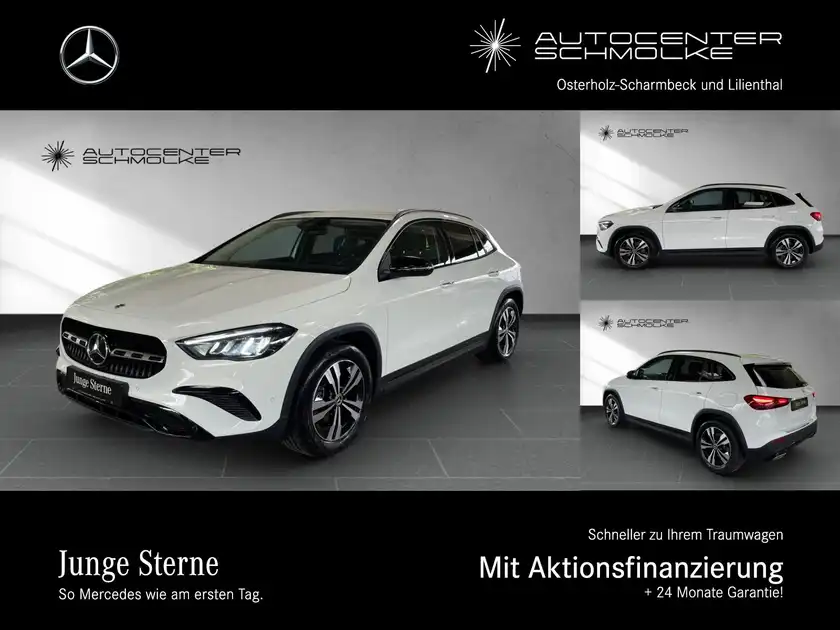 MERCEDES-BENZ GLA 220 (1/15)