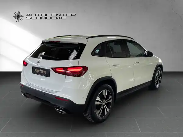 MERCEDES-BENZ GLA 220 (6/15)