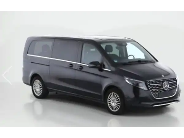 MERCEDES-BENZ V 300 d (4/13)