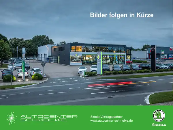ŠKODA ENYAQ (1/3)