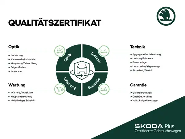 ŠKODA ENYAQ (13/15)