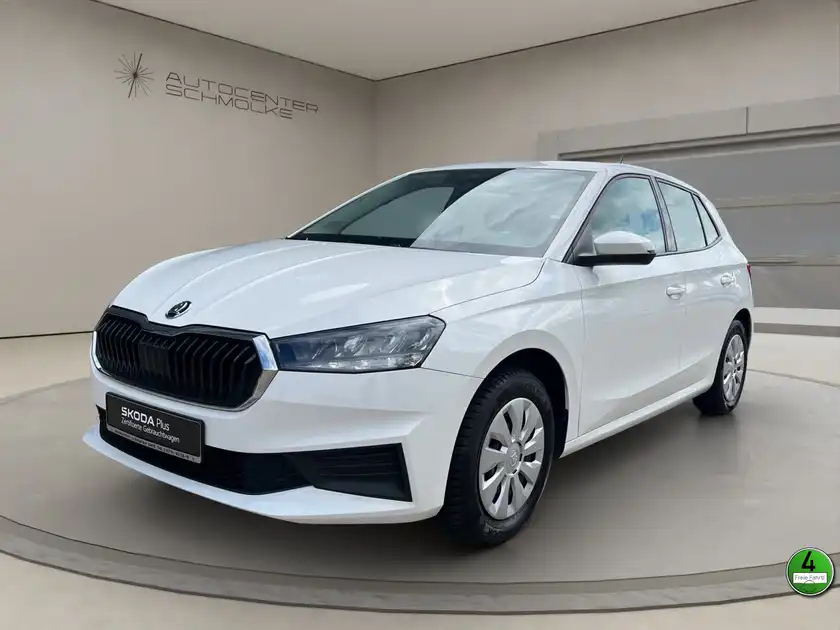 ŠKODA FABIA (1/15)