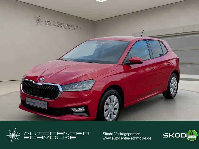 ŠKODA FABIA (1/15)