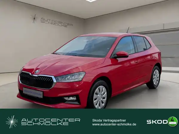 ŠKODA FABIA (1/15)