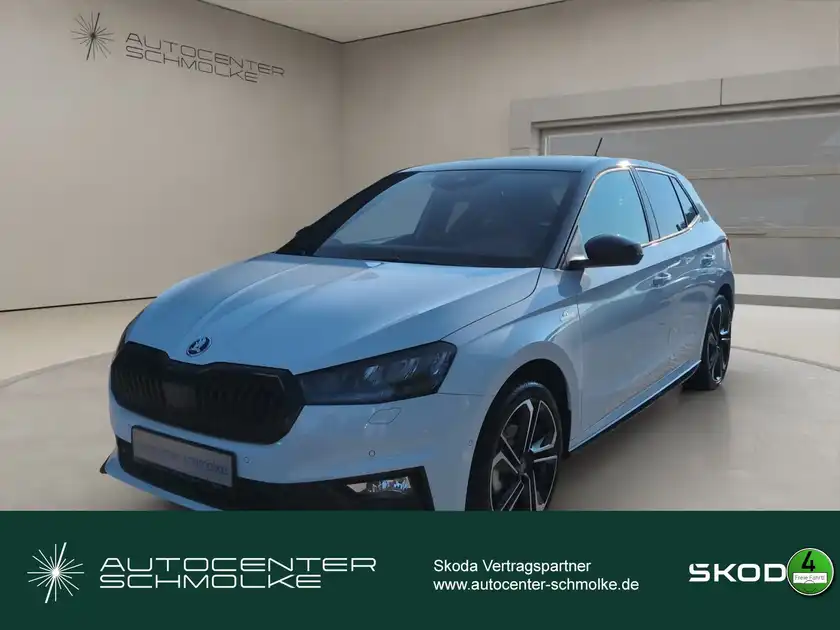 ŠKODA FABIA (1/15)