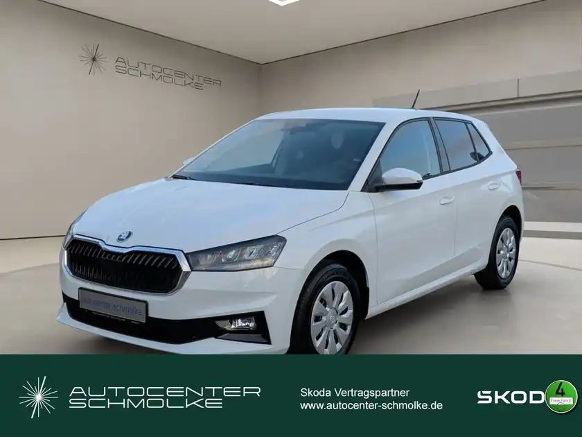 ŠKODA FABIA (1/15)