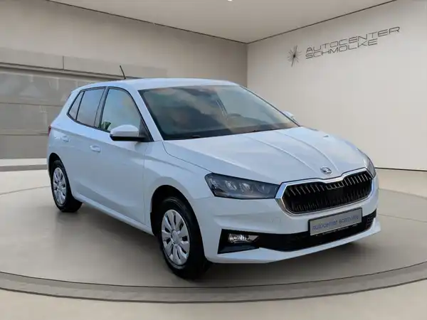 ŠKODA FABIA (8/15)