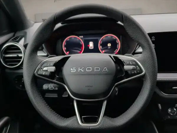 ŠKODA FABIA (10/15)