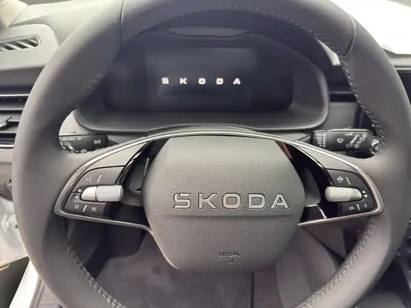 ŠKODA KAMIQ (11/15)