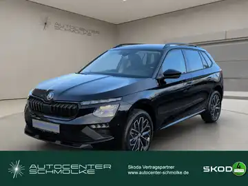 ŠKODA KAMIQ (1/15)