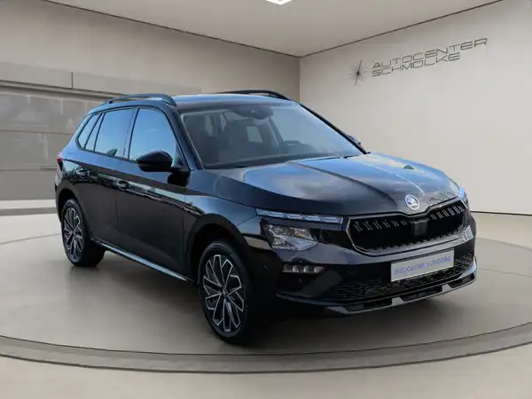ŠKODA KAMIQ (8/15)