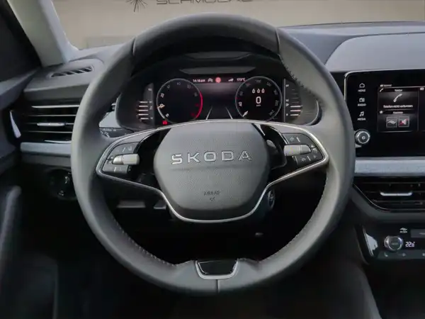 ŠKODA KAMIQ (13/15)