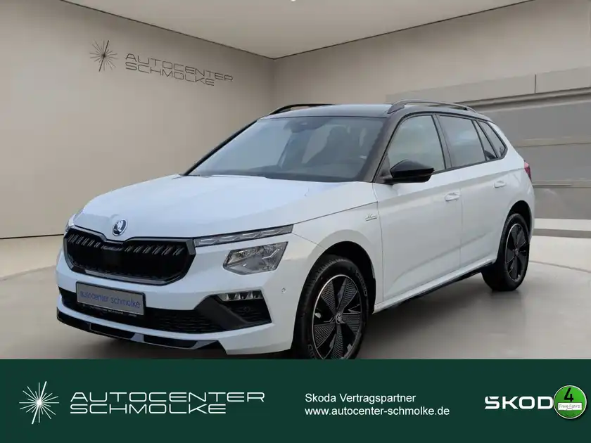 ŠKODA KAMIQ (1/15)