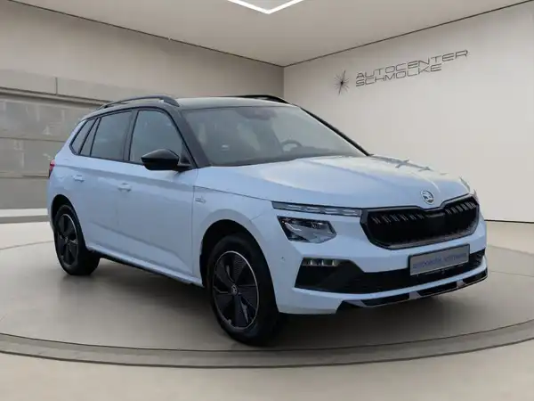 ŠKODA KAMIQ (8/15)