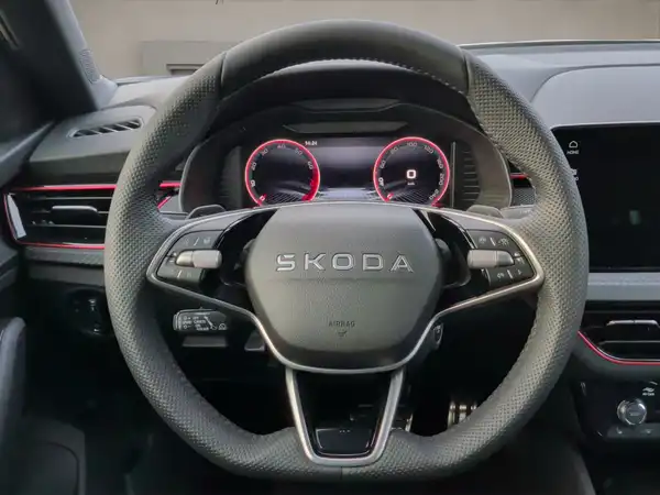 ŠKODA KAMIQ (10/15)