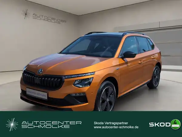 ŠKODA KAMIQ (1/15)