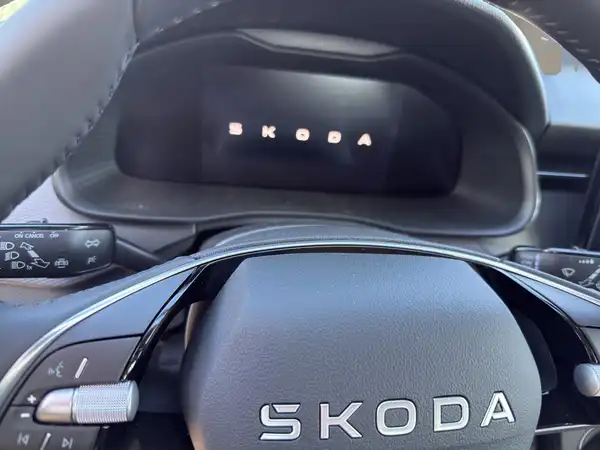 ŠKODA KAMIQ (10/15)