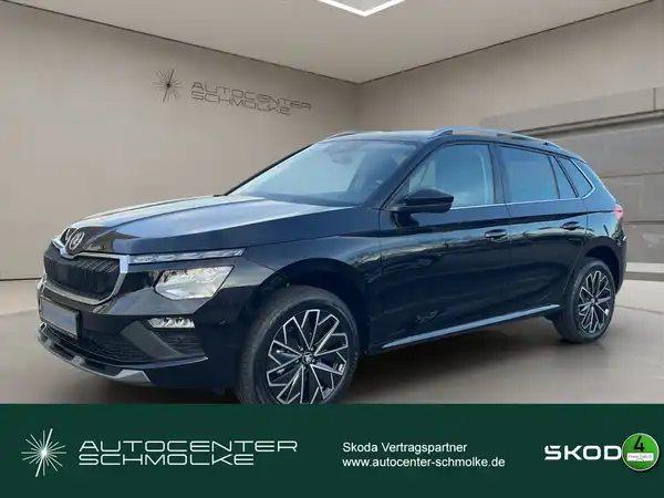 ŠKODA KAMIQ (1/15)
