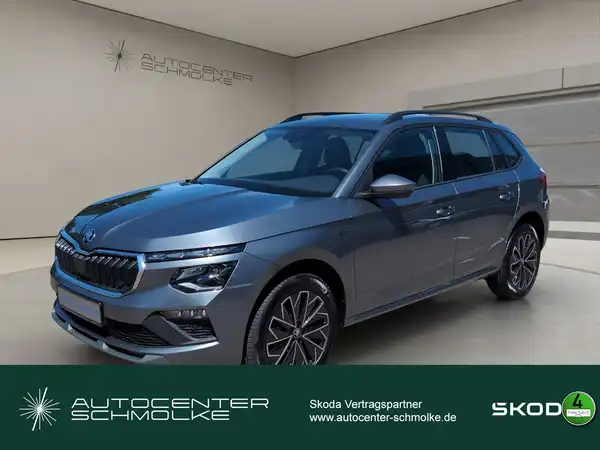ŠKODA KAMIQ (1/15)