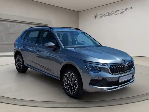 ŠKODA KAMIQ (8/15)
