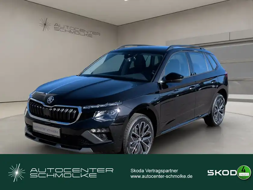 ŠKODA KAMIQ (1/15)