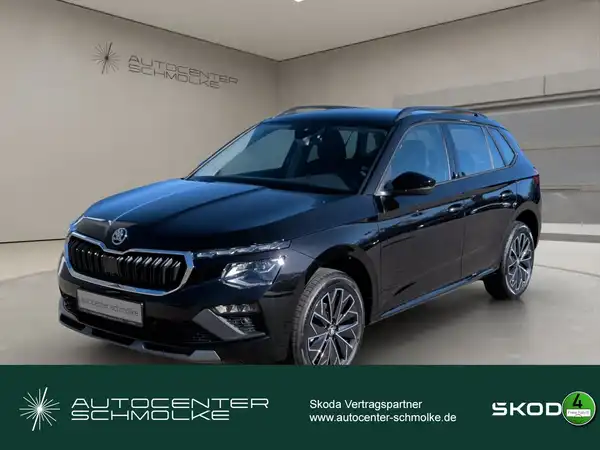 ŠKODA KAMIQ (1/15)