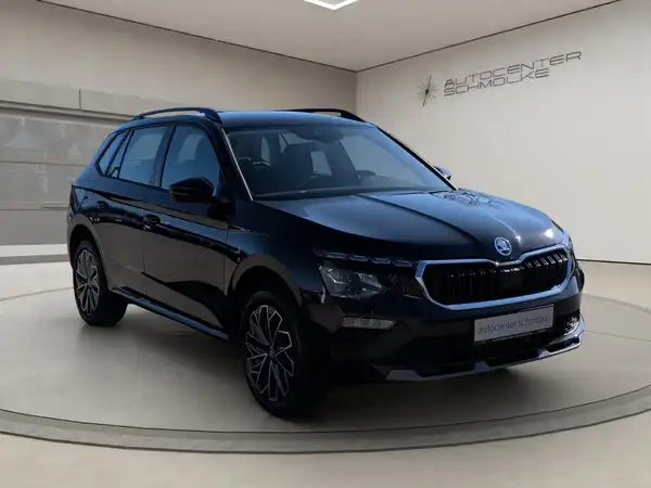 ŠKODA KAMIQ (8/15)